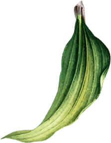 Agriculture decorative shape